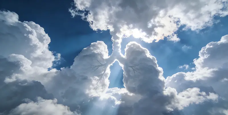 果洛肺癌靶向39基因检测及PDL122C3表达检测套餐（组织）图片1