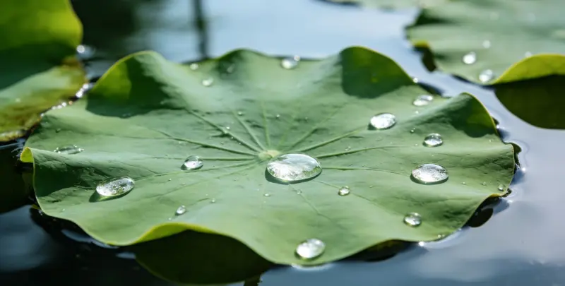 果洛乳腺癌21基因mRNA表达分析图片1