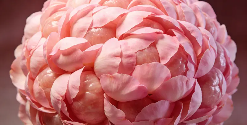 果洛BRCA1/2乳腺癌卵巢癌基因检测图片1